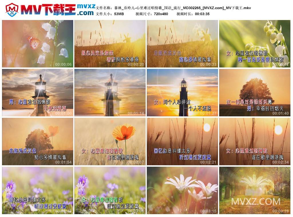 暴林_乔玲儿-心里难过唱情歌_国语_流行_MD302265